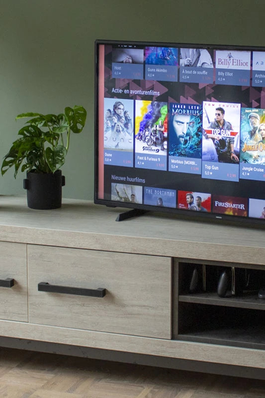 Fernseher